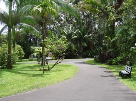 zoo walkway hilo